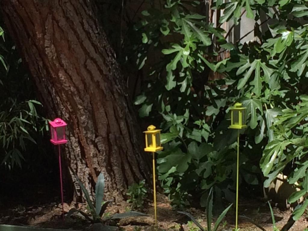 Garden Hotel Τουλούζη Εξωτερικό φωτογραφία